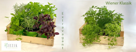 Collage Blumenkisten