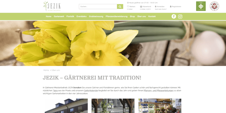 Screenshot Website JEZIK